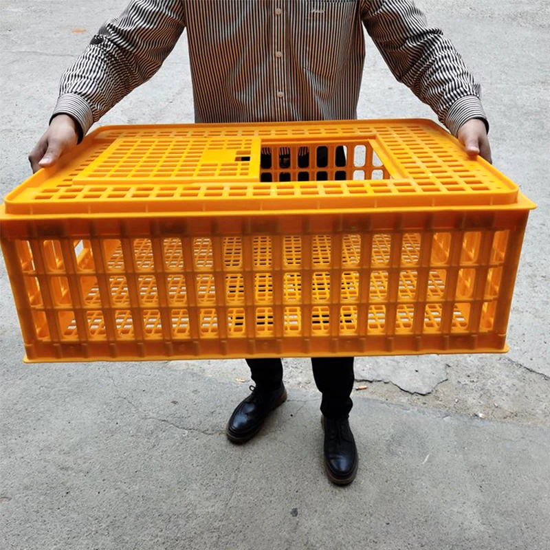 Live Poultry Transport Crate Plastic Chicken Transport Cage Pigeon Broiler Duck Cage - Image 4