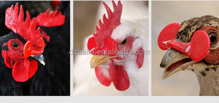 BT New Lightweight Chicken Anti-pecking Plastic Eye Glasses with Bolt for Poultry 6-Month Warranty Sizes 4.5/5.5/7cm - Image 6