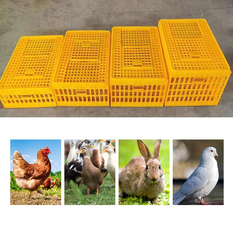 Live Poultry Transport Crate Plastic Chicken Transport Cage Pigeon Broiler Duck Cage - Image 6