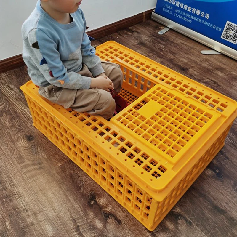 Live Poultry Transport Crate Plastic Chicken Transport Cage Pigeon Broiler Duck Cage - Image 5