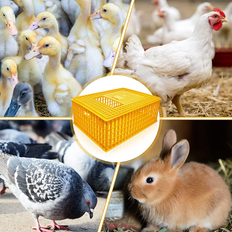 Live Poultry Transport Crate Plastic Chicken Transport Cage Pigeon Broiler Duck Cage - Image 2