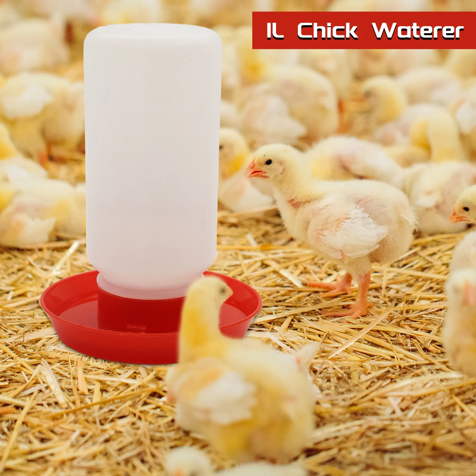 Chicken Feeder Automatic Water Feeder For Chicks Quails Chicks Feed Box Automatic Feeder Small Automatic Water Dispenser - Image 12