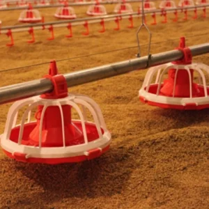 Flat Chicken Coop for Animal Husbandry Equipment Animal Feeders Chicken Feeder