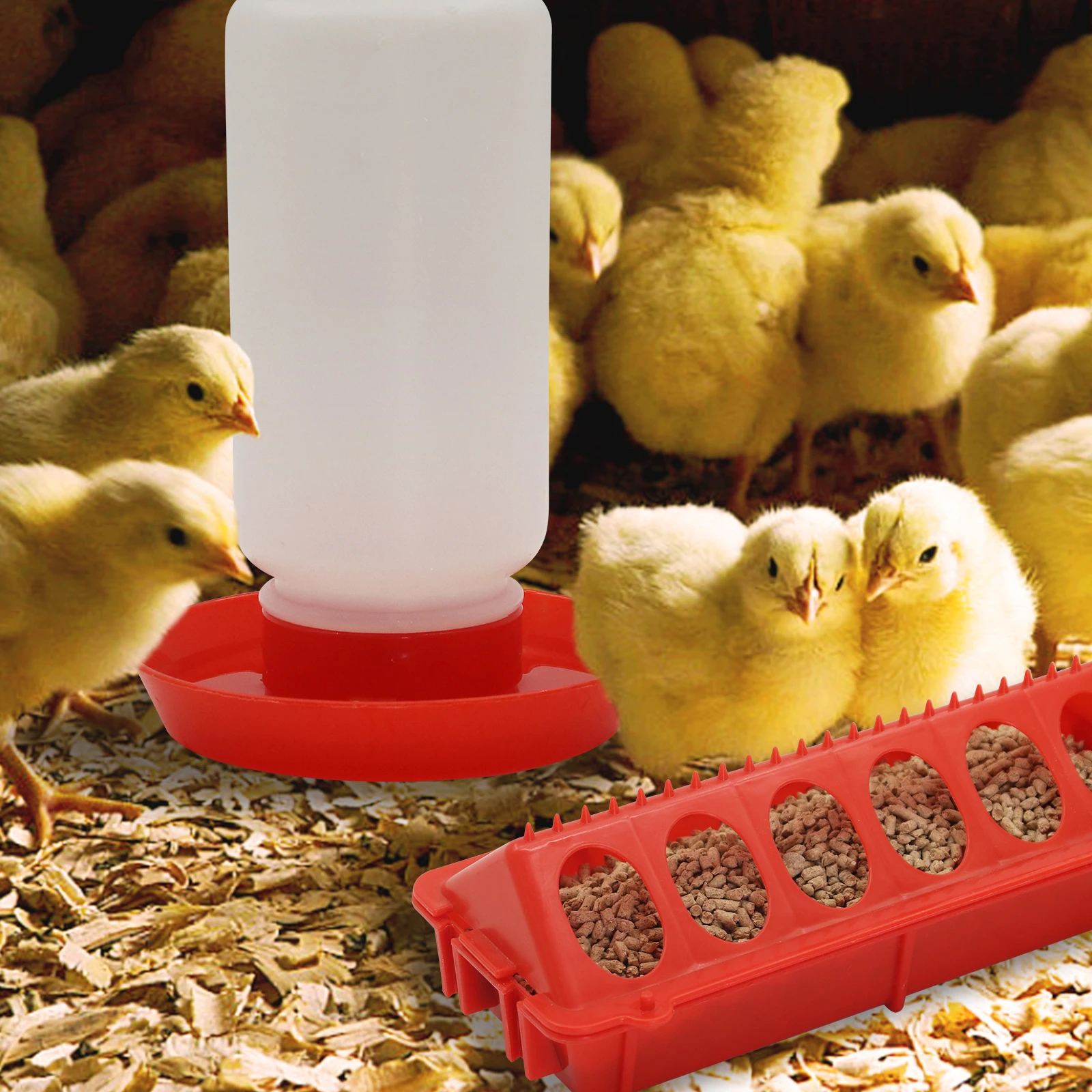 Chicken Feeder Automatic Water Feeder For Chicks Quails Chicks Feed Box Automatic Feeder Small Automatic Water Dispenser - Image 14