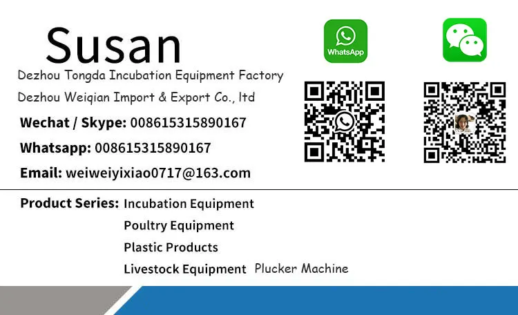 Coofull 1kg 1.5kg Feeder with Leg Poultry Plastic Feeder and Drinker with Leg - Image 17