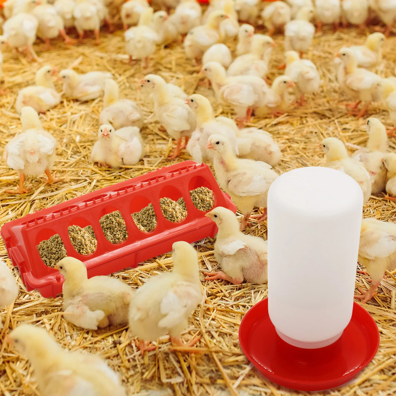 Chicken Feeder Automatic Water Feeder For Chicks Quails Chicks Feed Box Automatic Feeder Small Automatic Water Dispenser - Image 6