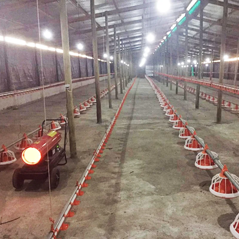 Flat Chicken Coop for Animal Husbandry Equipment Animal Feeders Chicken Feeder - Image 5