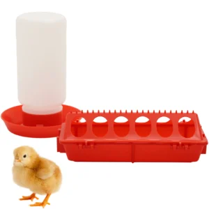 Chicken Feeder Automatic Water Feeder For Chicks Quails Chicks Feed Box Automatic Feeder Small Automatic Water Dispenser